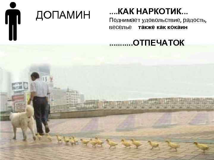 ДОПАМИН . . КАК НАРКОТИК. . . Поднимает удовольствие, радость, веселье также как кокаин