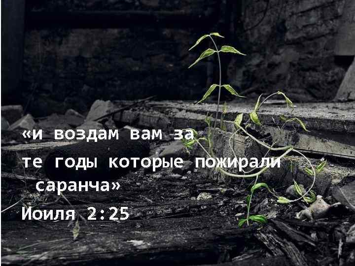  «и воздам вам за те годы которые пожирали саранча» Иоиля 2: 25 