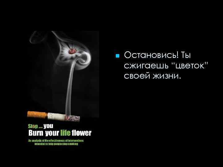 n Остановись! Ты сжигаешь “цветок” своей жизни. 