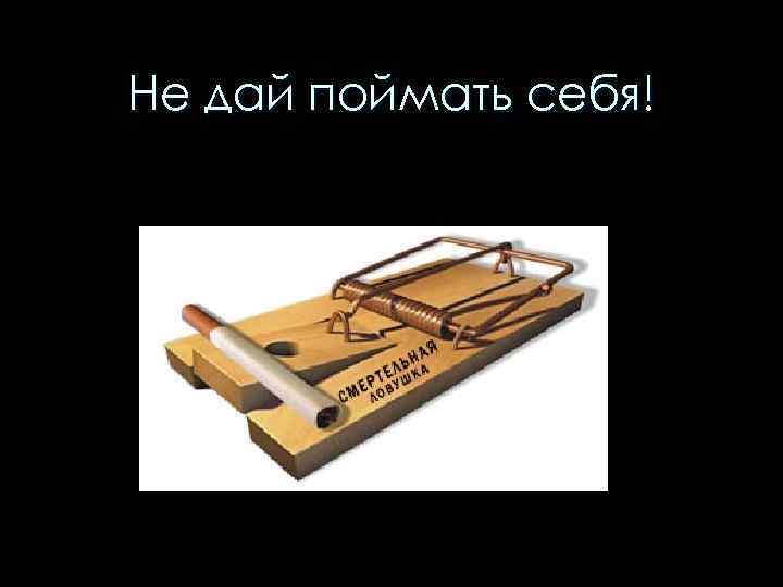 Не дай поймать себя! 