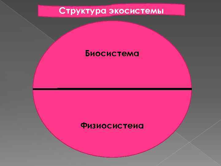 Структура экосистемы Биосистема Физиосистеиа 