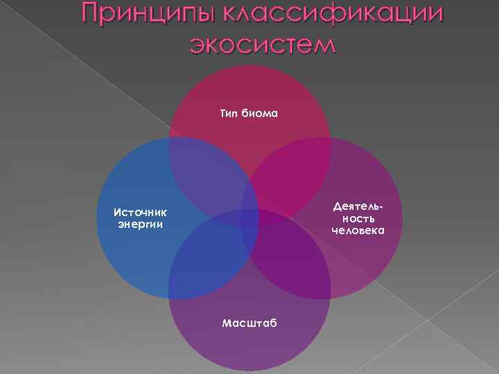 Принципы классификации экосистем Тип биома Деятельность человека Источник энергии Масштаб 