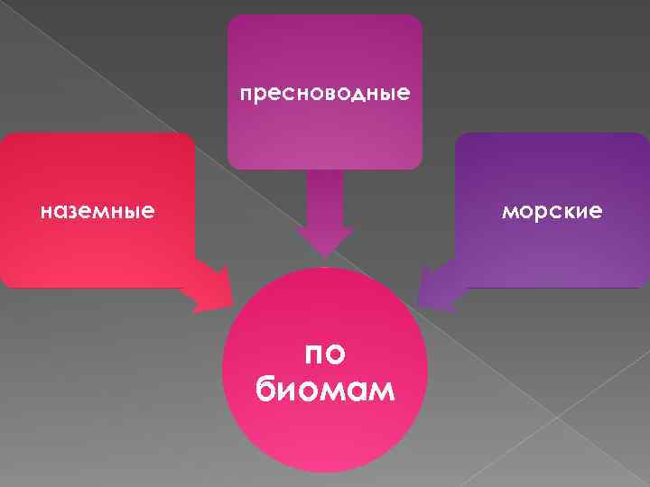 пресноводные наземные морские по биомам 