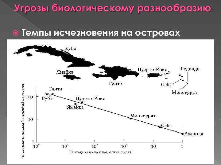 Угрозы биологическому разнообразию Темпы исчезновения на островах 