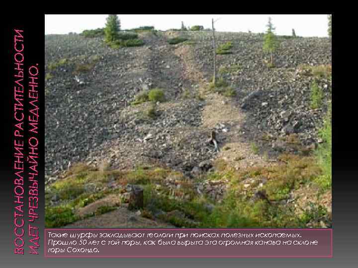 ВОССТАНОВЛЕНИЕ РАСТИТЕЛЬНОСТИ ИДЕТ ЧРЕЗВЫЧАЙНО МЕДЛЕННО. Такие шурфы закладывают геологи при поисках полезных ископаемых. Прошло