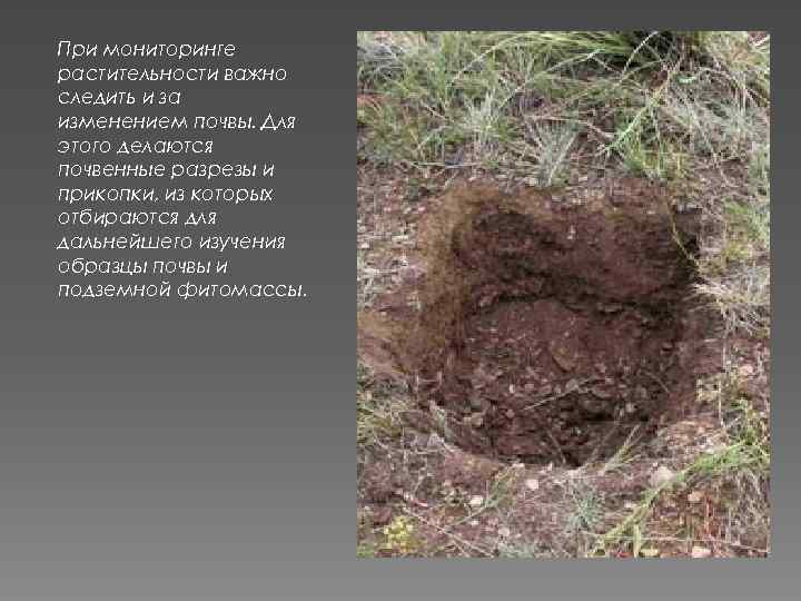 При мониторинге растительности важно следить и за изменением почвы. Для этого делаются почвенные разрезы