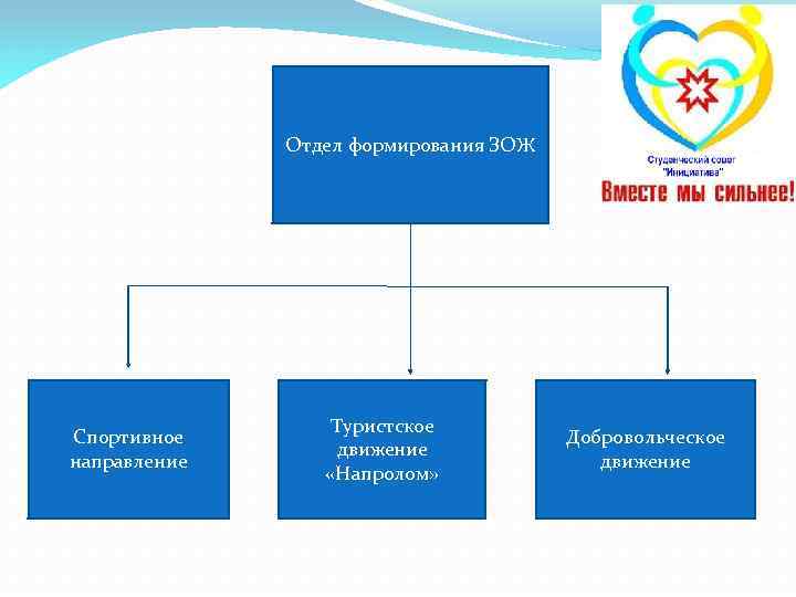 Отдел формирования ЗОЖ Спортивное направление Туристское движение «Напролом» Добровольческое движение 