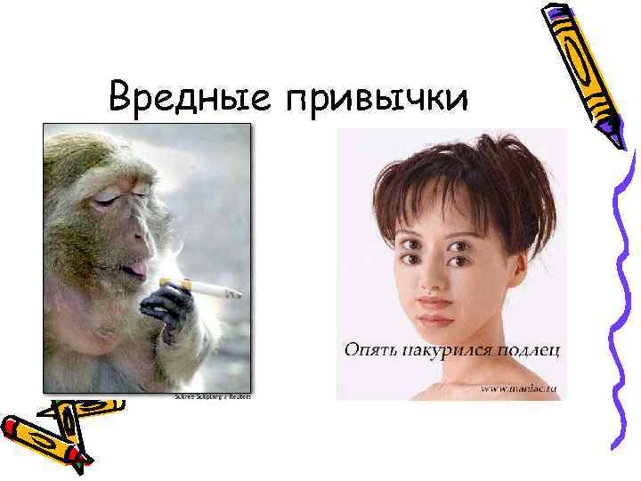 Вредные привычки 