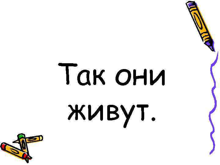 Так они живут. 