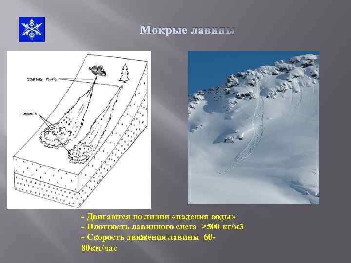 Мокрые лавины - Двигаются по линии «падения воды» - Плотность лавинного снега >500 кг/м