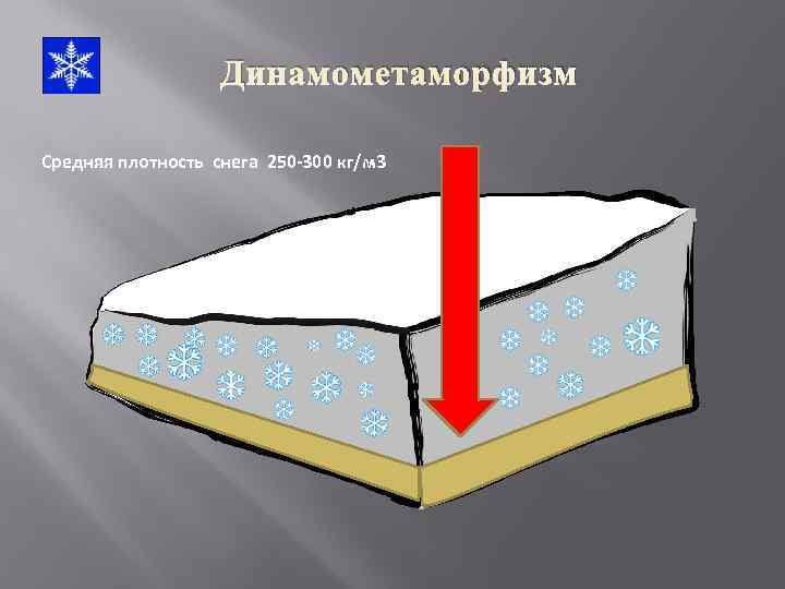 Динамометаморфизм Средняя плотность снега 250 -300 кг/м 3 