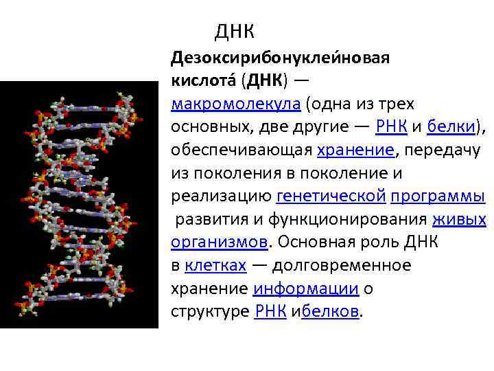 Роль днк и рнк. ДНК И РНК расшифровка. Как расшифровывается ДНК И РНК. Дезоксирибонуклеиновая кислота ДНК РНК. Строение макромолекулы ДНК И РНК.