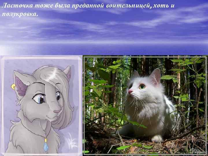 Ласточка тоже была преданной воительницей, хоть и полукровка. 