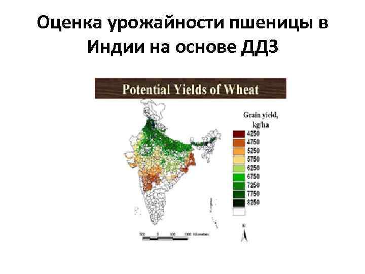 Оценка урожайности пшеницы в Индии на основе ДДЗ 