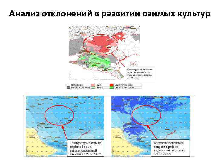 Анализ отклонений в развитии озимых культур 