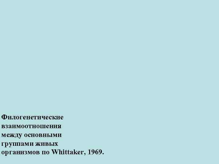 Филогенетические взаимоотношения между основными группами живых организмов по Whittaker, 1969. 