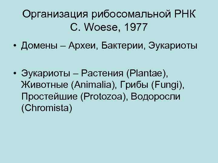 Организация рибосомальной РНК C. Woese, 1977 • Домены – Археи, Бактерии, Эукариоты • Эукариоты