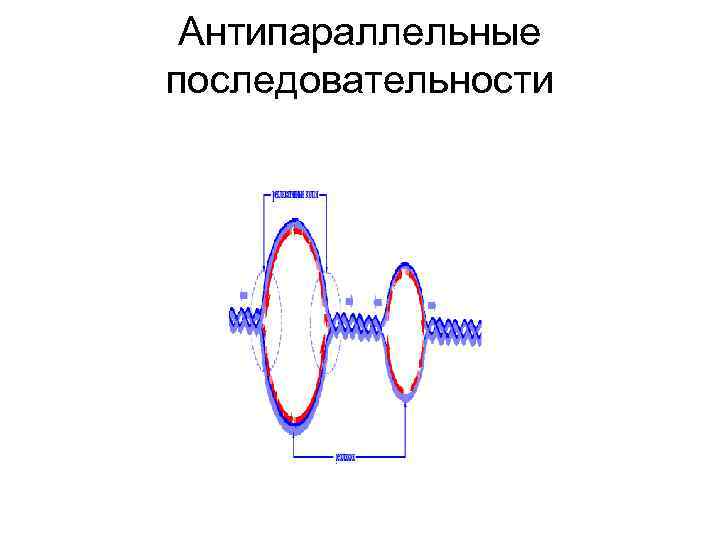 Антипараллельные последовательности 