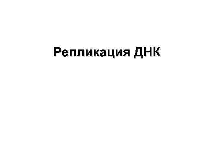 Репликация ДНК 