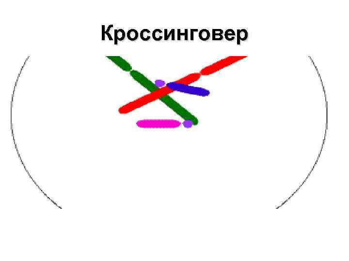 Кроссинговер 