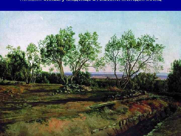 Пейзажи. Оливы у кладбища в Альбано. Молодой месяц 