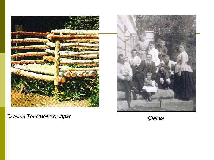 Скамья Толстого в парке Семья 