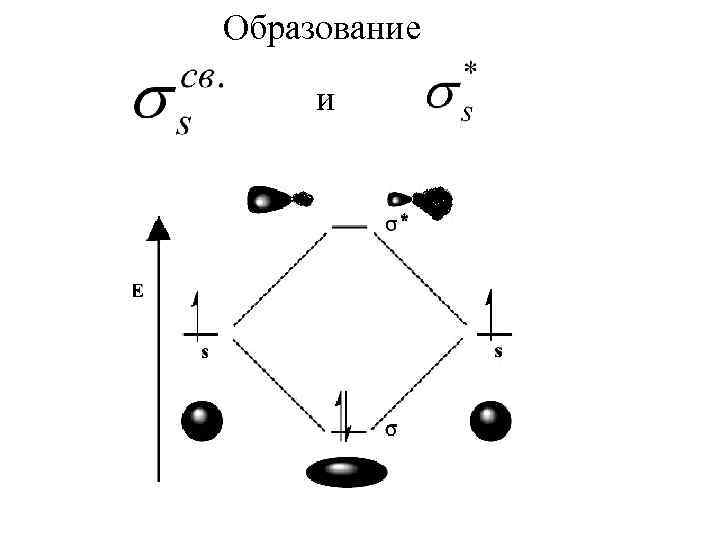 Образование и 