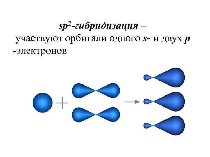 sp 2 -гибридизация – участвуют орбитали одного s- и двух p -электронов 