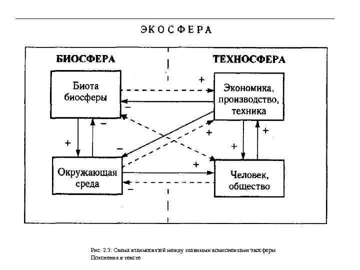 Рис. 2. 3. Схема взаимосвязей между главными компонентами экосферы Пояснения в тексте 