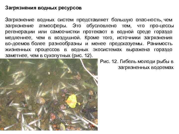 Загрязнения водных ресурсов Загрязнение водных систем представляет большую опас ность, чем загрязнение атмосферы. Это