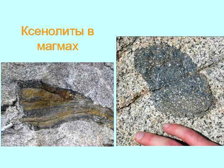 Ксенолиты в магмах 