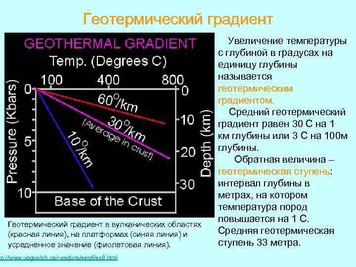 Геотермический градиент в вулканических областях (красная линия), на платформах (синяя линия) и усредненное значение