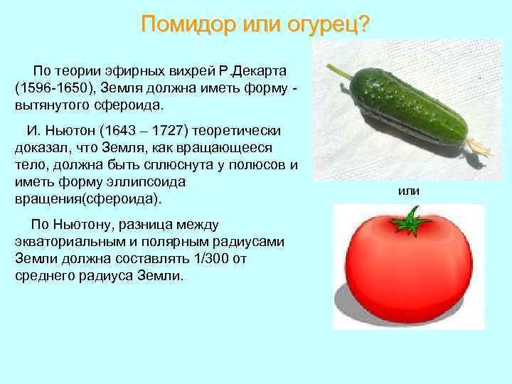 Помидор или огурец? По теории эфирных вихрей Р. Декарта (1596 -1650), Земля должна иметь