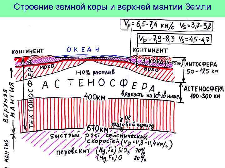 Строение земной коры и верхней мантии Земли 