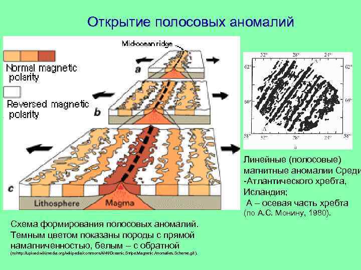 Открытие полосовых аномалий Линейные (полосовые) магнитные аномалии Среди -Атлантического хребта, Исландия; А – осевая