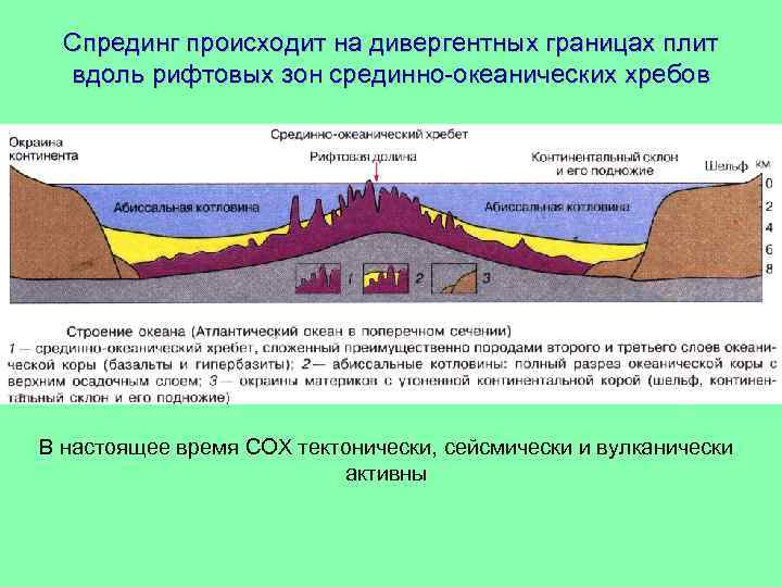 Спрединг происходит на дивергентных границах плит вдоль рифтовых зон срединно-океанических хребов В настоящее время