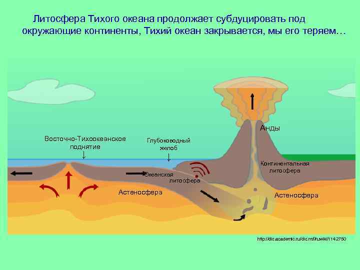 Столкновение плит с океанической и континентальной земной корой рисунок