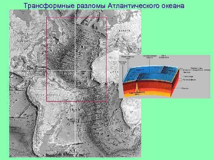 Трансформные разломы Атлантического океана 