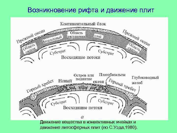 Возникновение рифта и движение плит Движение вещества в конвективных ячейках и движение литосферных плит