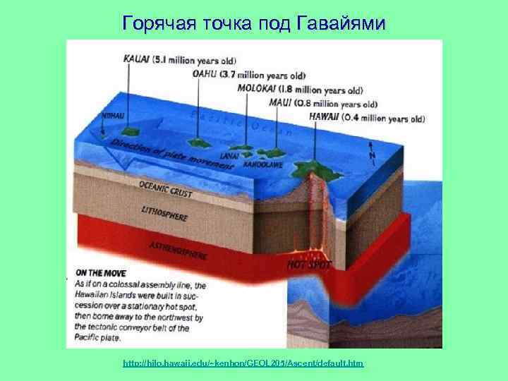 Горячая точка под Гавайями http: //hilo. hawaii. edu/~kenhon/GEOL 205/Ascent/default. htm 