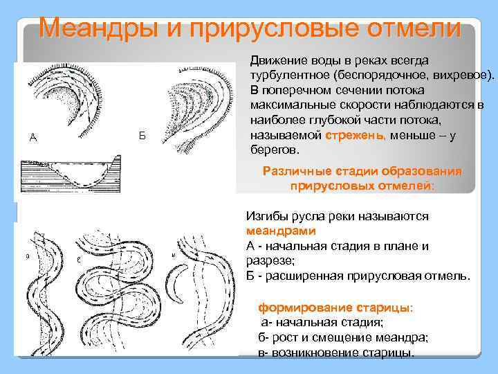Меандры и прирусловые отмели Движение воды в реках всегда турбулентное (беспорядочное, вихревое). В поперечном
