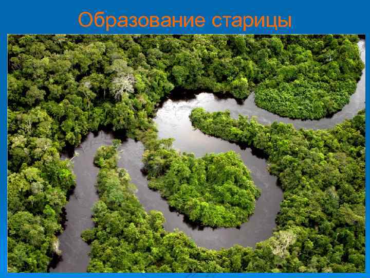 Образование старицы 