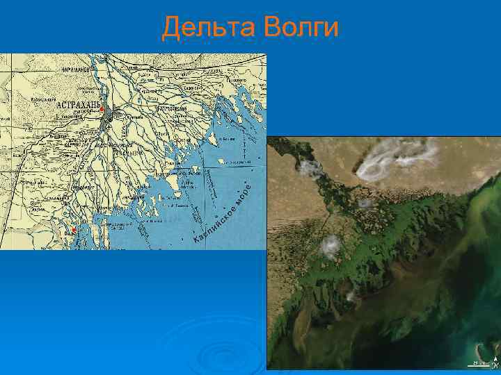 Дельта Волги 