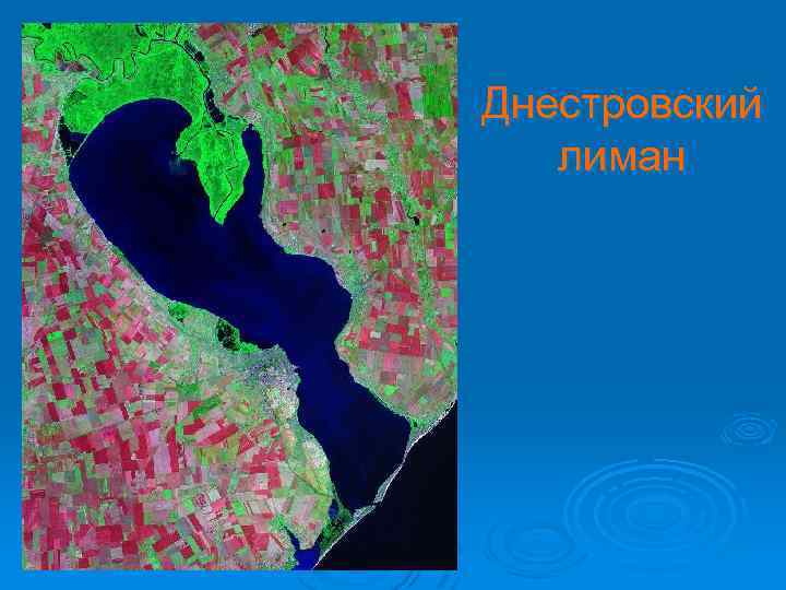 Днестровский лиман 
