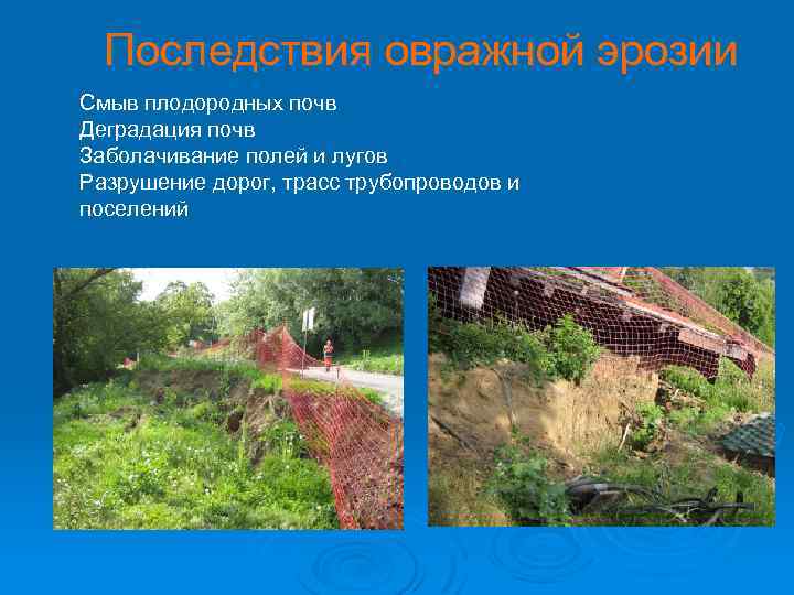 Последствия овражной эрозии Смыв плодородных почв Деградация почв Заболачивание полей и лугов Разрушение дорог,