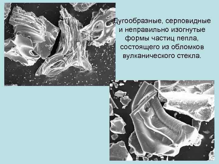 Дугообразные, серповидные и неправильно изогнутые формы частиц пепла, состоящего из обломков вулканического стекла. 