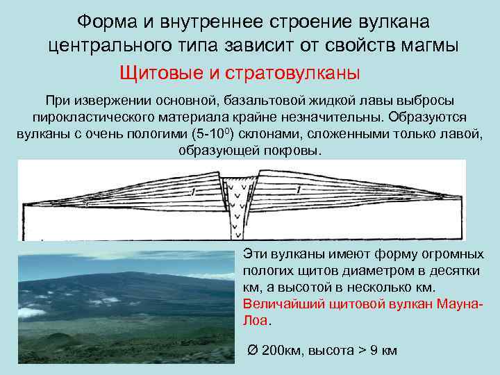 Форма и внутреннее строение вулкана центрального типа зависит от свойств магмы Щитовые и стратовулканы