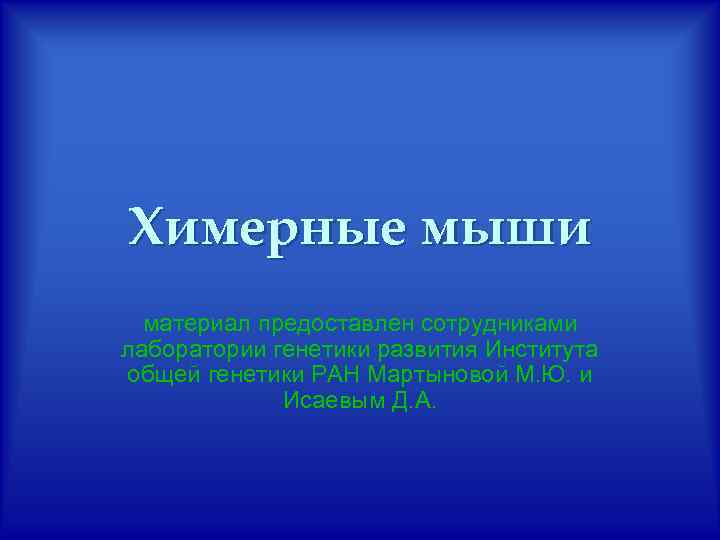 Химерные мыши материал предоставлен сотрудниками лаборатории генетики развития Института общей генетики РАН Мартыновой М.
