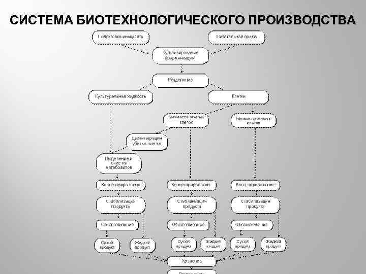 СИСТЕМА БИОТЕХНОЛОГИЧЕСКОГО ПРОИЗВОДСТВА 