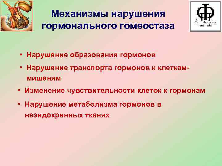 Механизмы нарушения гормонального гомеостаза • Нарушение образования гормонов • Нарушение транспорта гормонов к клеткаммишеням